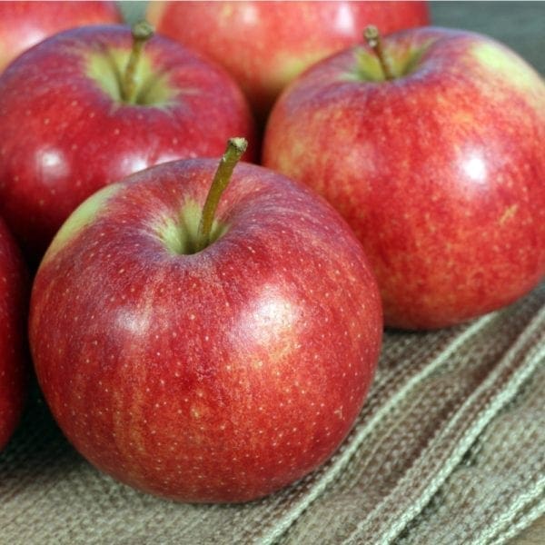 APPLES ROYAL GALA LARGE - Fruit and Veg Delivery Brisbane - Zone Fresh Gourmet Market