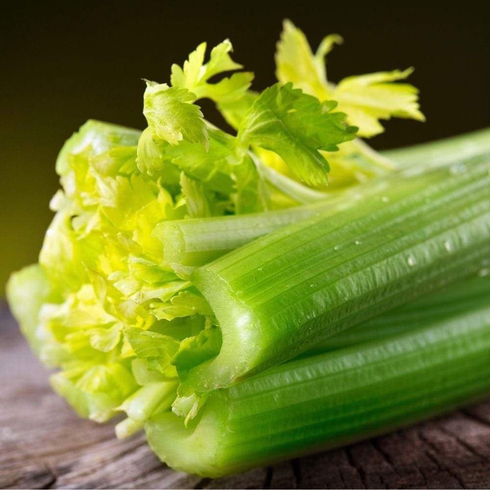 CELERY Zone Fresh
