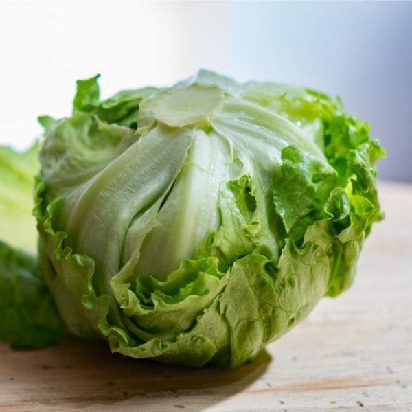 LETTUCE ICEBERG - Organic Food Brisbane - Zone Fresh