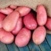 POTATOES DESIREE - Fruit and Veg Delivery Brisbane - Zone Fresh