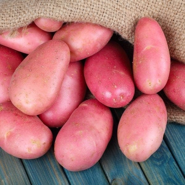 POTATOES DESIREE - Fruit and Veg Delivery Brisbane - Zone Fresh