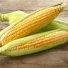 CORN COB SWEET - Fruit and Veg Delivery Brisbane - Zone Fresh