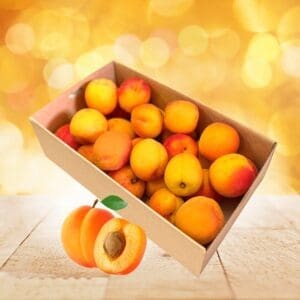 APRICOTS CHOICE EARLICOTS