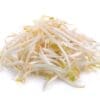 HEALTHY SPROUTS BEAN SPROUTS - Image 2