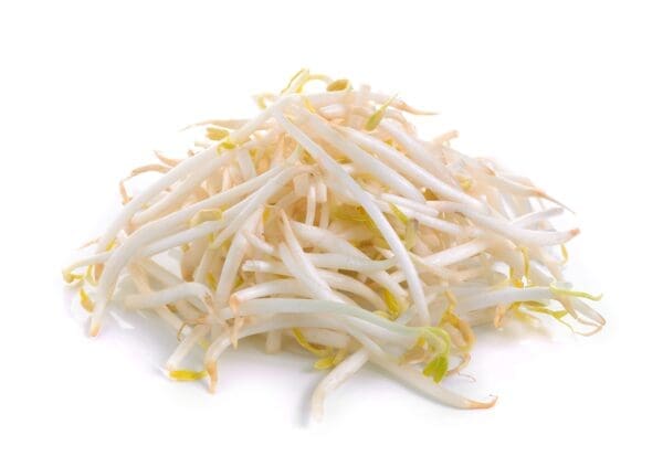 HEALTHY SPROUTS BEAN SPROUTS