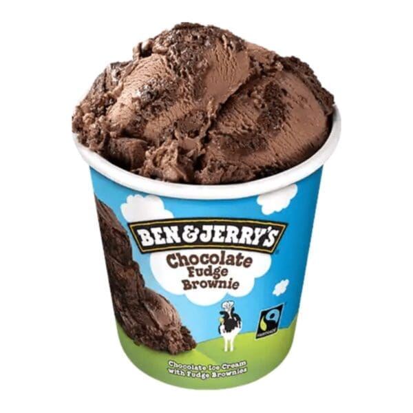 BEN & JERRYS CHOC FUDGE BROWNIE