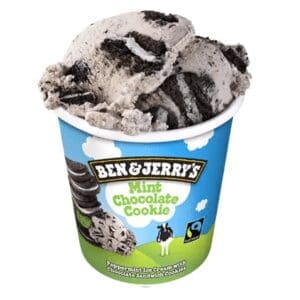 BEN & JERRYS MINT CHOCOLATE COOKIE