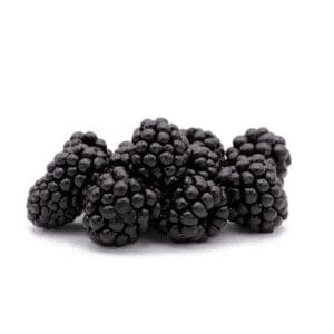 BLACKBERRIES PUNNET