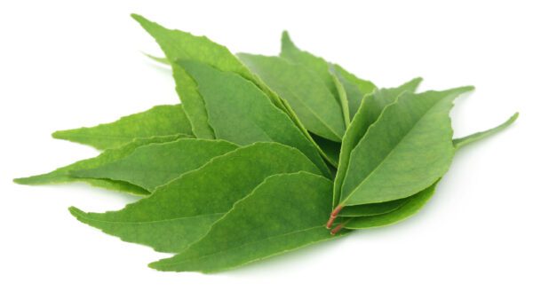 CURRY LEAVES Shutterstock_399950500