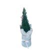 CHRISTMAS TREE MEDIUM