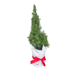 CHRISTMAS TREE SMALL