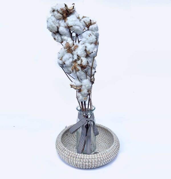 FLOWER DRIED COTTON