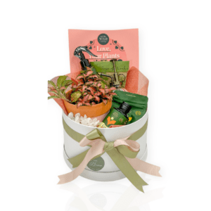 GREEN THUMB GIFT HAMPER