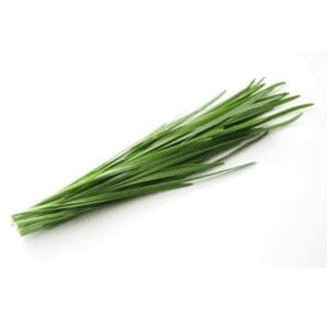 HERB FRESH CHIVES