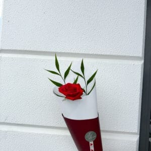 VALENTINE SINGLE ROSE