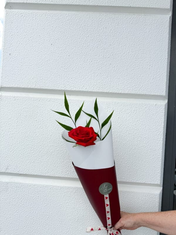 VALENTINE SINGLE ROSE