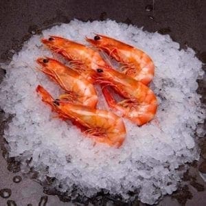 MOOLOOLABA KING PRAWNS