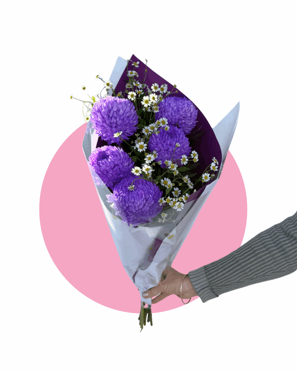 Hand holding bouquet of purple flowers and daisies wrapped in paper with pink background.