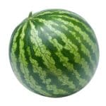 WATERMELON MINI - Image 2