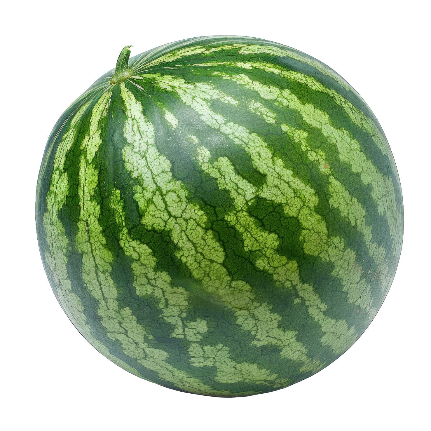 WATERMELON MINI