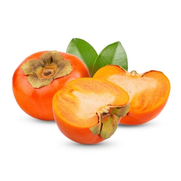 PERSIMMONS