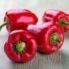 red capsicum, vegetable, healthy, fresh, brisbane