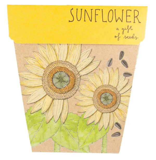 SOWNSOW GIFT OF SEEDS SUNFLOWER