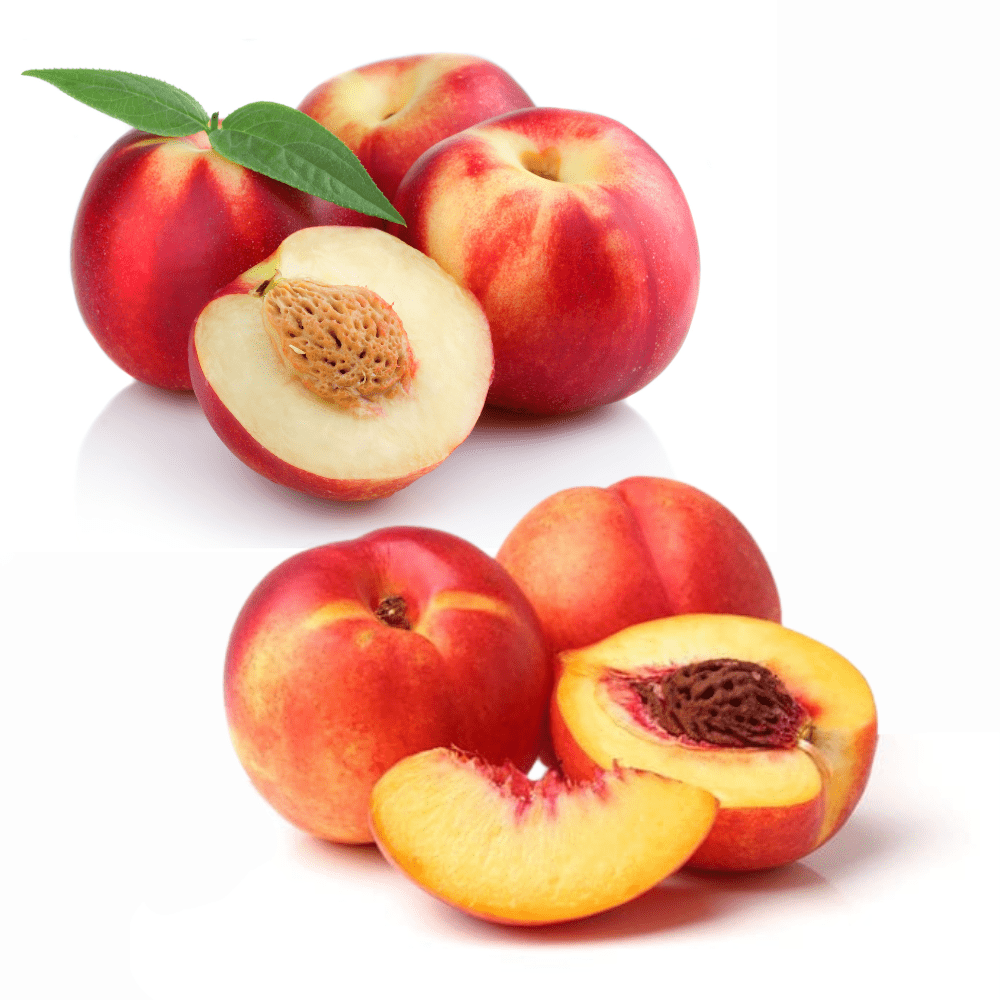 NECTARINES YELLOW AND WHITE COMO DEAL Zone Fresh