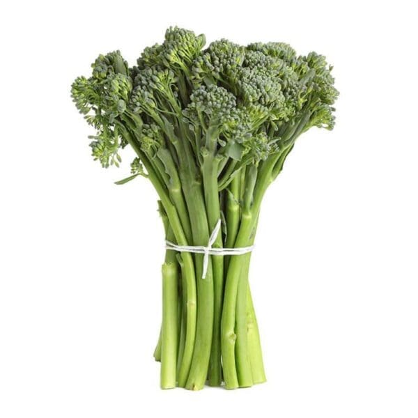 Bundle of broccolini tied with white string, slender stalks and florets at the top.