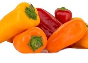 Pile of small colorful bell peppers in red, orange, and yellow on a white surface.