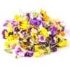 Pile of colorful edible flowers in purple, yellow, orange on a white background.