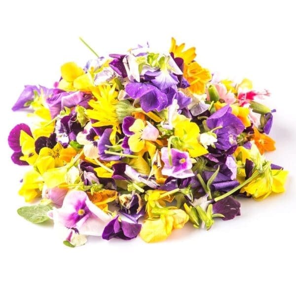 Pile of colorful edible flowers in purple, yellow, orange on a white background.