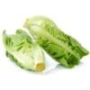 Romaine lettuce halved lengthwise, showing crisp, fresh green leaves.