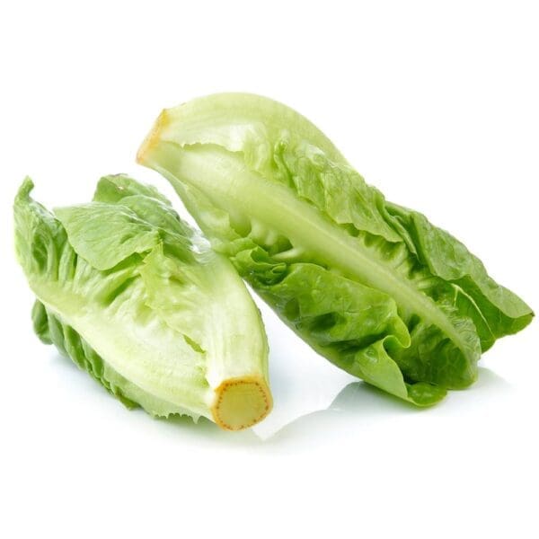 Romaine lettuce halved lengthwise, showing crisp, fresh green leaves.