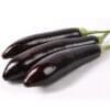 Three dark purple eggplants with green tops arranged on a white background.