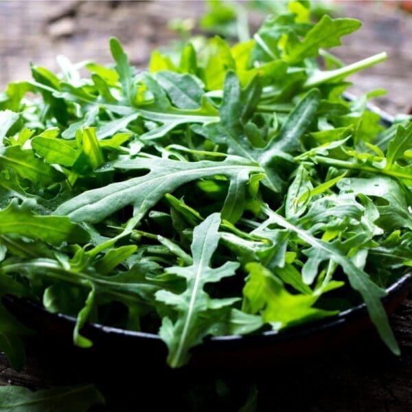 Bowl of fresh green arugula leaves with visible water droplets on the surface.