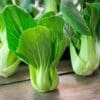 Fresh bok choy with green leaves and pale stems on a wooden surface.