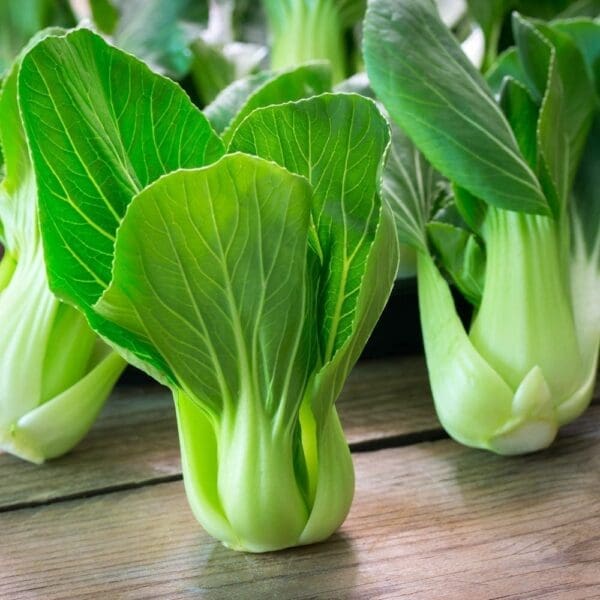Fresh bok choy with green leaves and pale stems on a wooden surface.