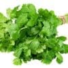 Fresh green cilantro leaves tied with twine on a plain white background.