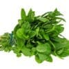 Fresh green mint leaves bundled with a blue rubber band on white background.