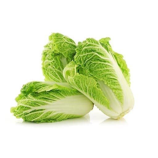 Three fresh napa cabbage heads with crisp, light green leaves on a white background.
