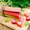 Fresh rhubarb stalks bundled with twine on cutting board, scattered slices, green leaves.