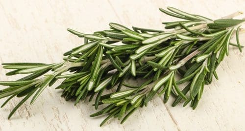 Fresh rosemary sprigs with green, silvery leaves on a light wood surface.