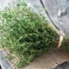 Fresh thyme bundle on burlap, rustic wooden background, small green leaves, thin woody stems.