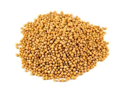 Pile of small, round, yellow-brown mustard seeds on a white background.