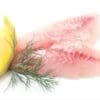Two raw fish fillets with a lemon wedge and dill sprig on a white background.