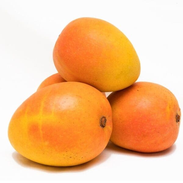 Four ripe mangoes with orange and yellow skins on a plain white background.