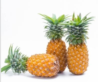 Three ripe pineapples on white background, two upright, one lying, showing textured skin.