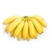 Ripe yellow bananas in a fan shape on a white background.