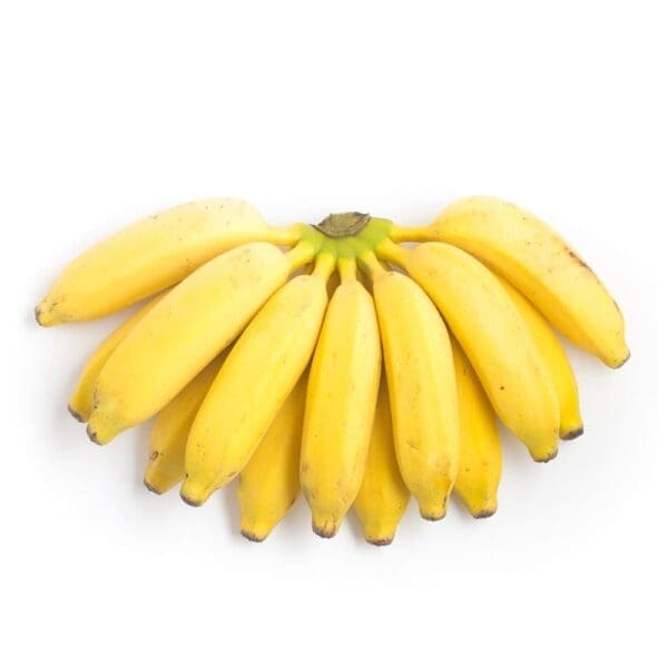 Ripe yellow bananas in a fan shape on a white background.